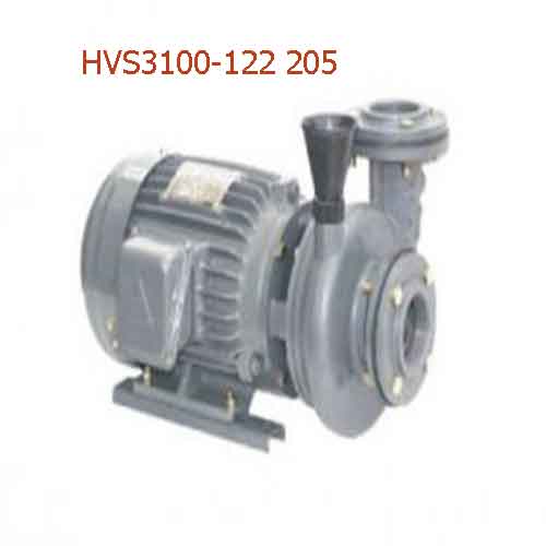 Bơm ly tâm dạng xoáy đầu inox HVS3100-122 205