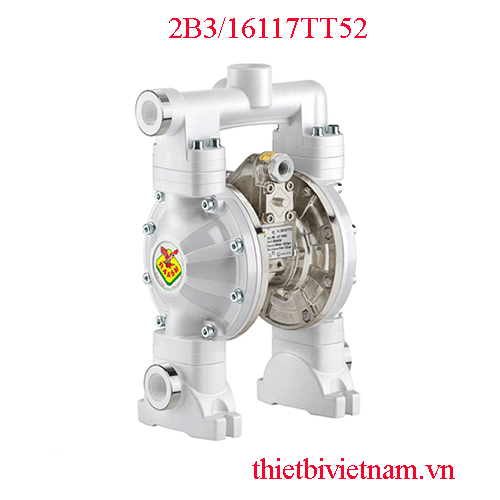 Bơm màng 60 lít/phút Raasm 2B3/16117TT52