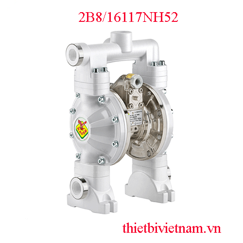 Bơm màng 60 lít/phút Raasm 2B8/16117NH52