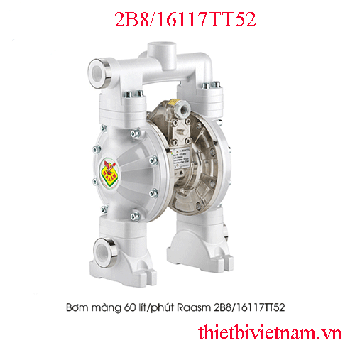 Bơm màng 60 lít/phút Raasm 2B8/16117TT52