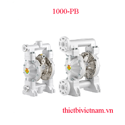 Bơm màng series Raasm 1000-PB