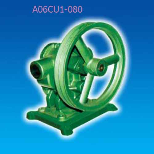 Buly trợ bơm đầu gang phốt amiăng A06CU1-080