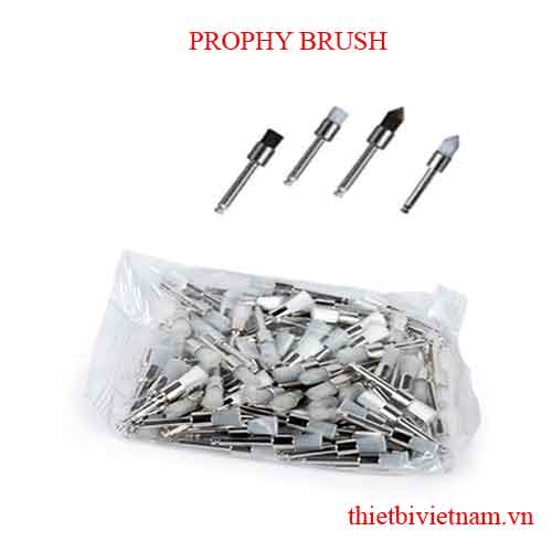 CHỔI CƯỚC ĐÁNH BÓNG RĂNG ORO - PROPHY BRUSH