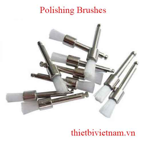 CHỔI CƯỚC ĐÁNH BÓNG RĂNG Polishing Brushes TPC
