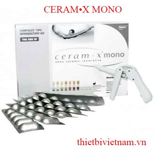 COMPOSITE ĐẶC CERAM•X MONO