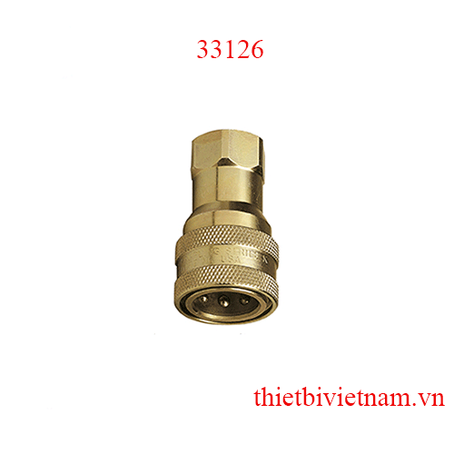 Khớp nối nhanh đồng thau đầu cái Raasm 33126