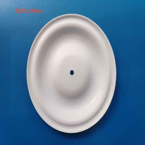  Màng PTFE 50/65: 228mm