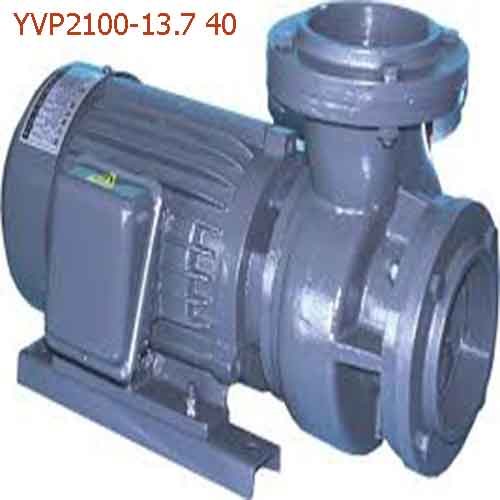 Máy bơm đồng ruộng YVP2100-13.7 40