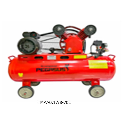 MÁY NÉN KHÍ DÂY ĐAI  PEGASUS TM-V-0.17/8-70L