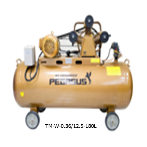 MÁY  NÉN KHÍ DÂY ĐAI  PEGASUS TM-W-0.36/12.5-180L 