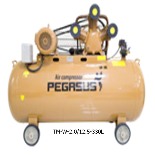 MÁY  NÉN KHÍ DÂY ĐAI  PEGASUS TM-W-2.0/12.5-330L