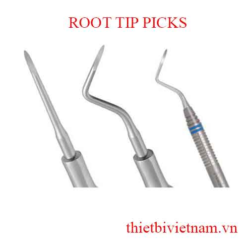 ROOT TIP PICKS