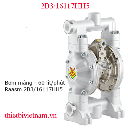 Thiết bị bơm màng 60 lít Raasm 2B3-16117HH5