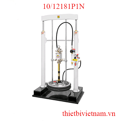 Thiết bị bơm nhớt 23 lít/phút dạng bàn nâng Raasm 10/12181P1N
